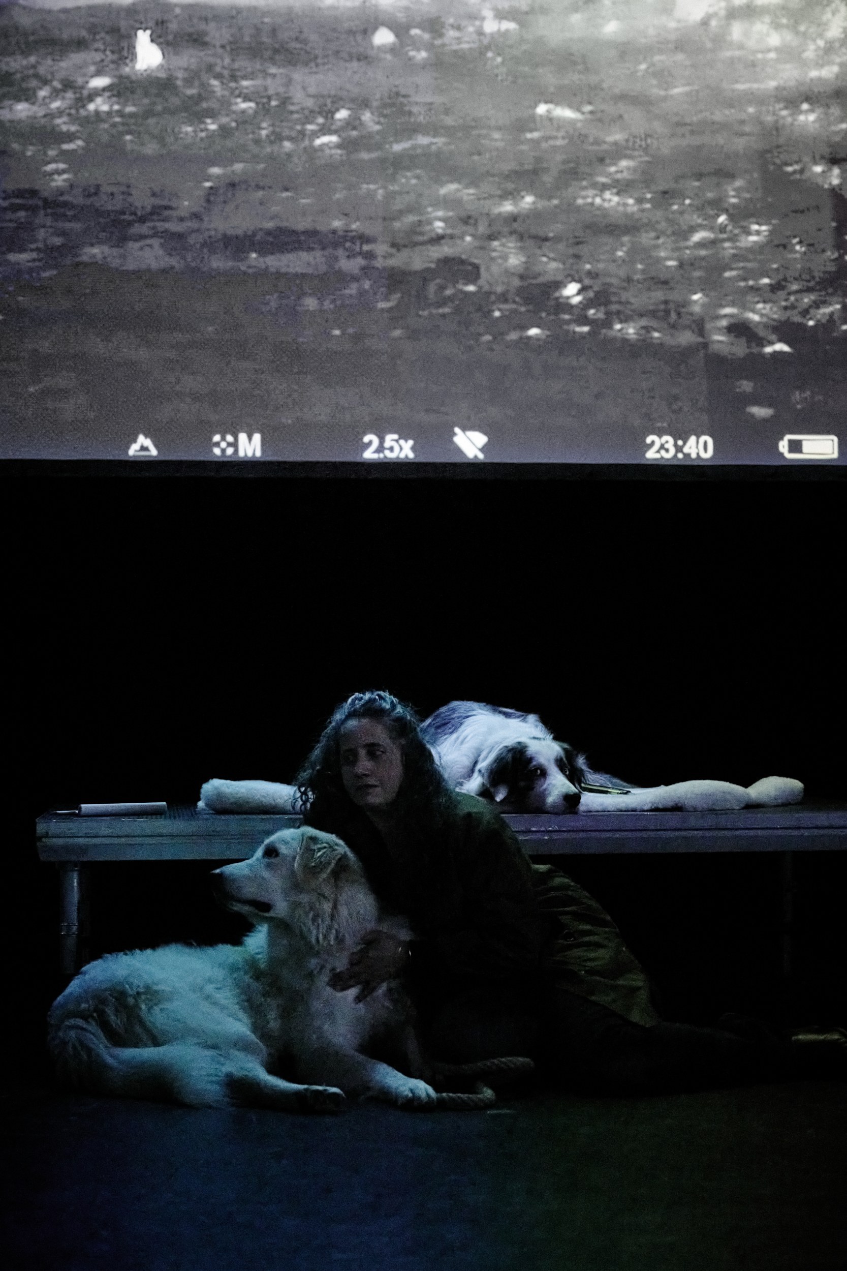 © Chloé Cohen