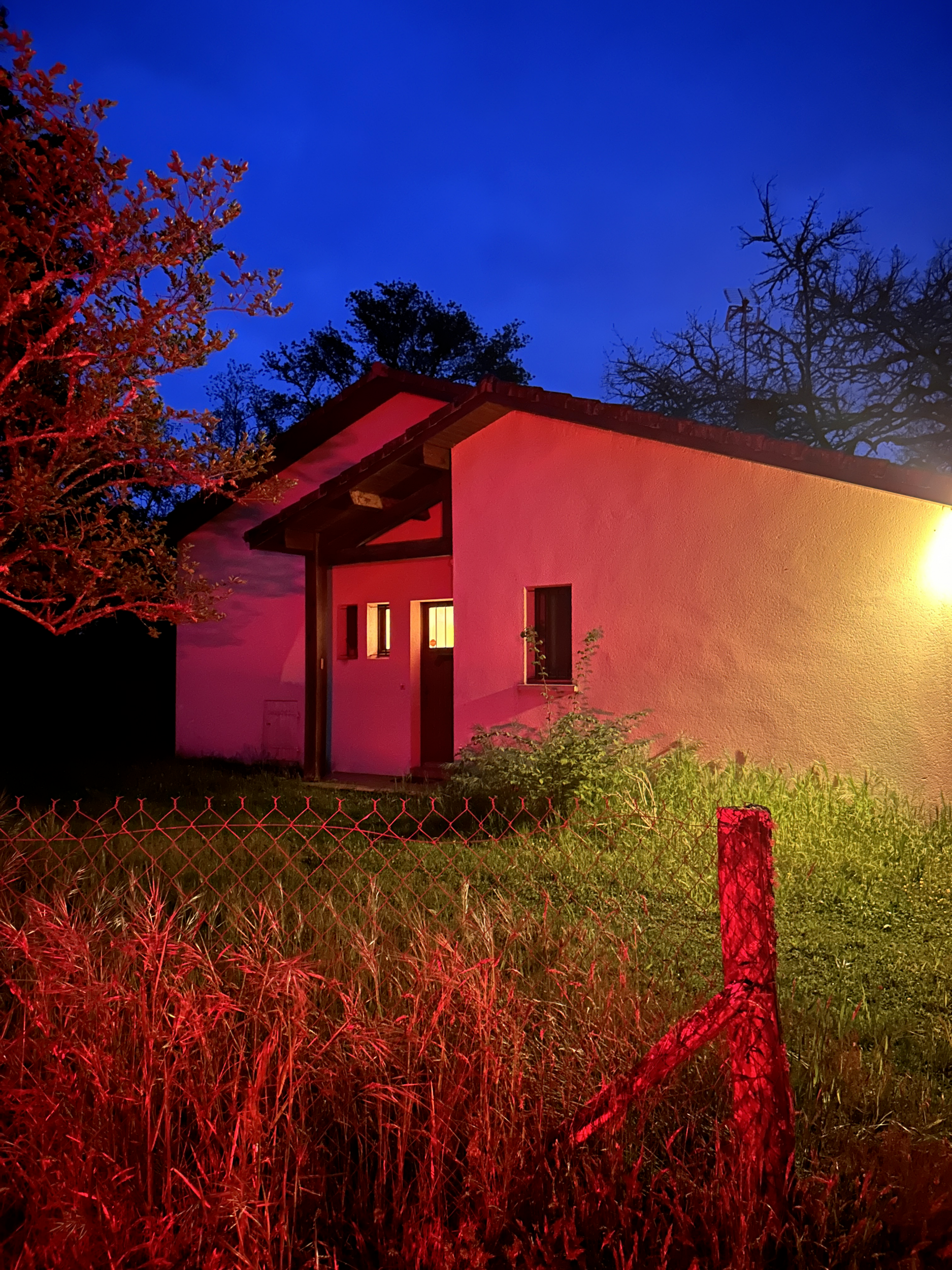 © Victoire Tuaillon  