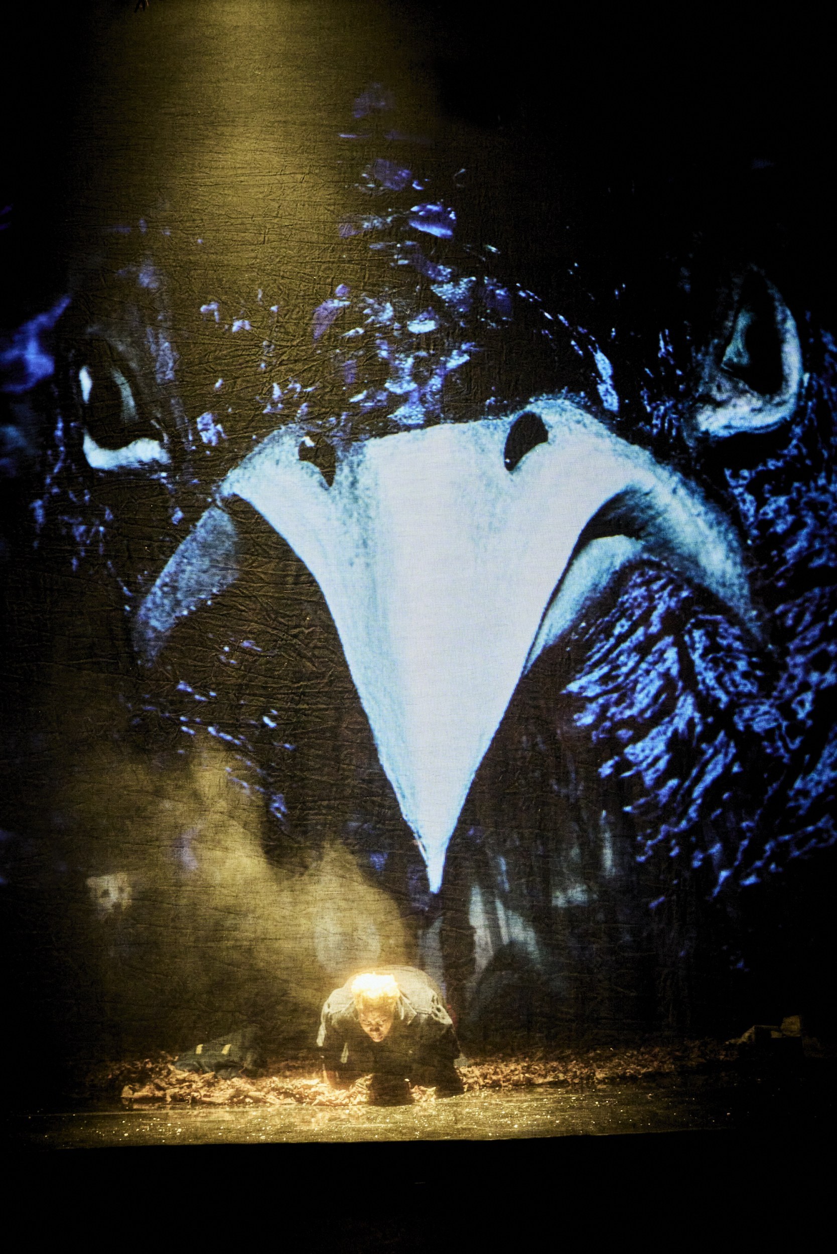 Le temps des fins © Christophe Raynaud de Lage